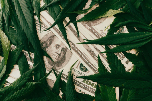 Dollar und Cannabisblätter