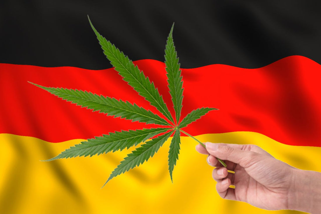 Cannabisblatt vor der deutschen Flagge