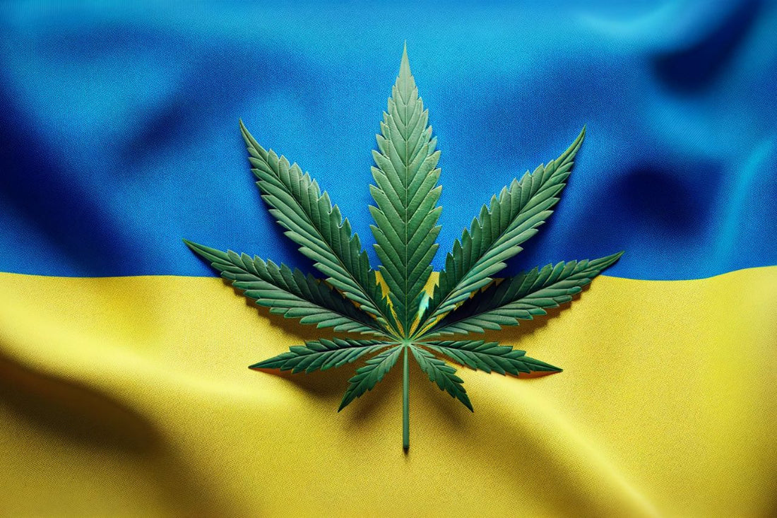 Die ukrainische Flagge und das Cannabisblatt