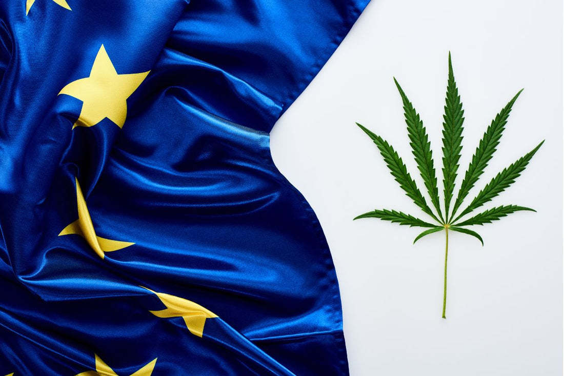 Die Prävalenz von Cannabis in Europa