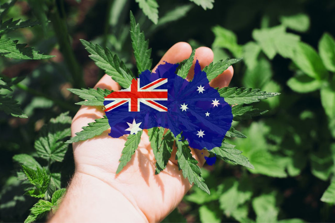 Cannabis in Australien