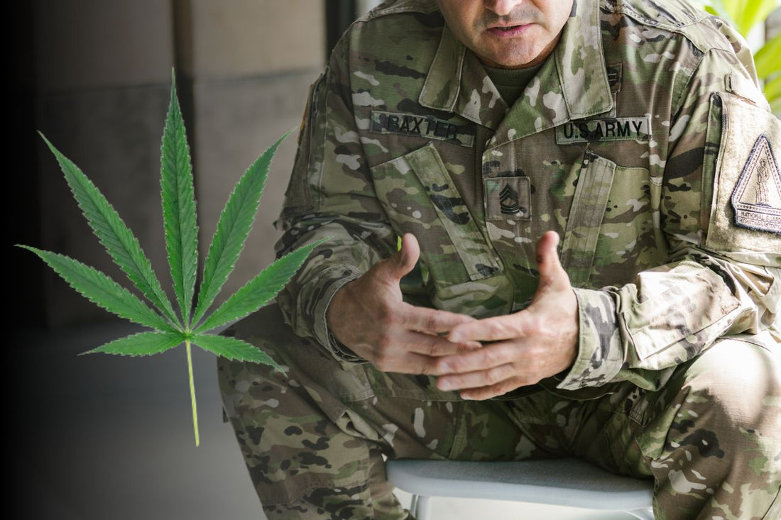 Cannabis verbessert das Leben von Veteranen