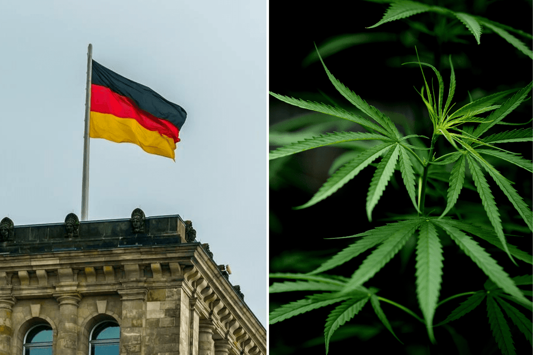 Deutschland blickt auf Kanadas Cannabis-Erfolg