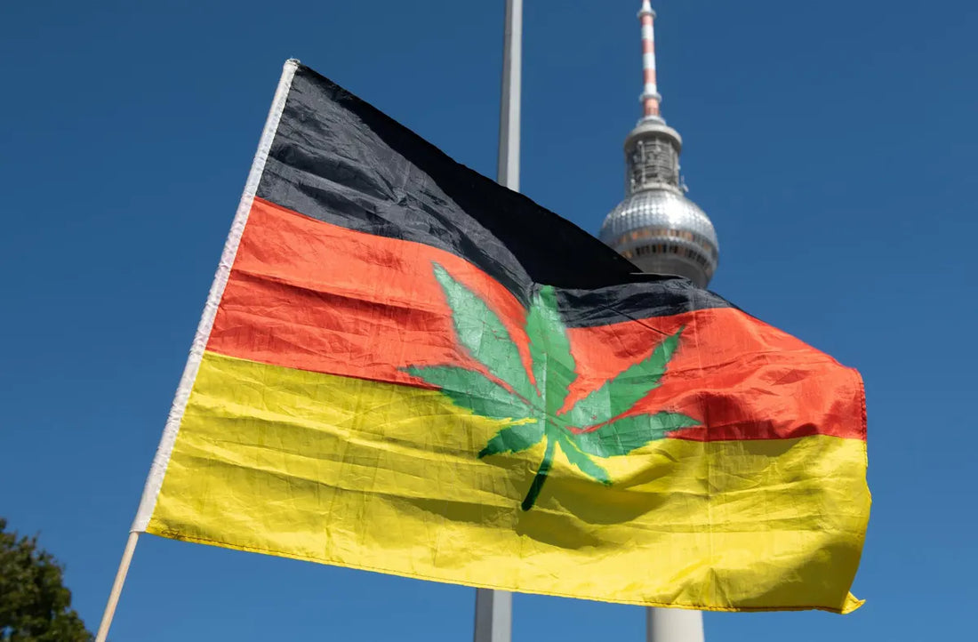 Deutschlands Cannabis-Legalisierungsplan