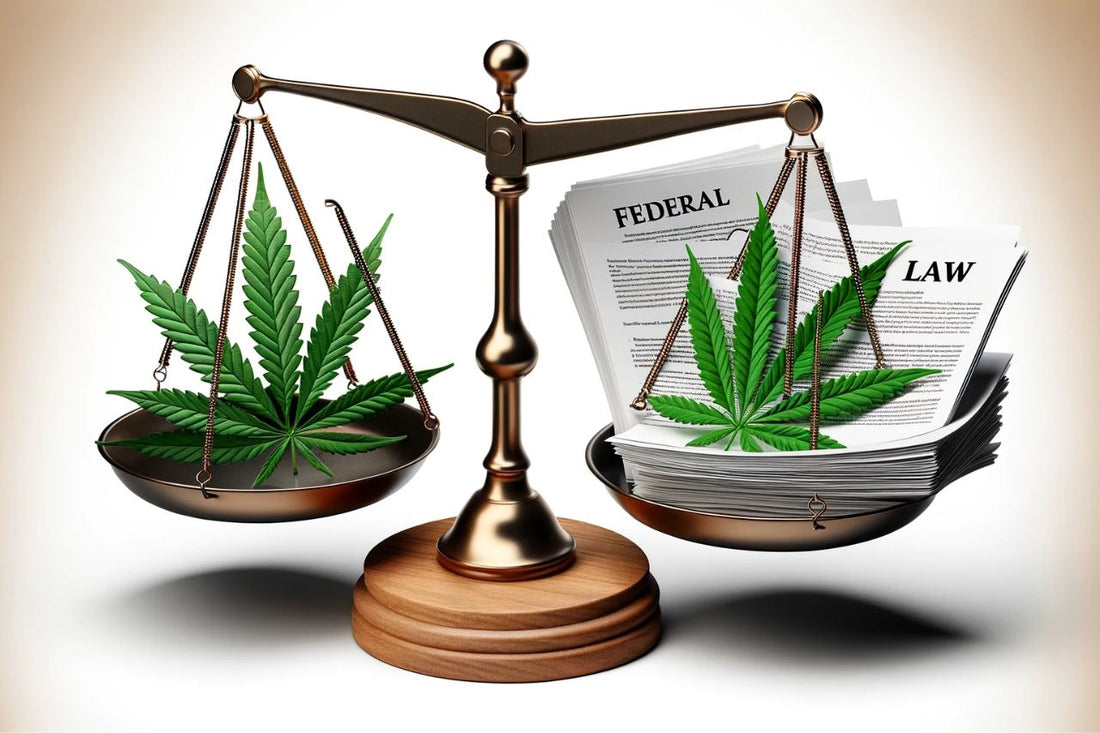 Gleichgewicht von Recht und Cannabis