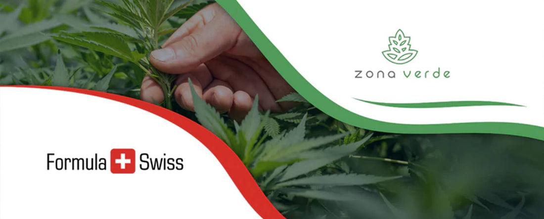 Formula Swiss kooperiert mit dem führenden Cannabis-Händler in Rumänien