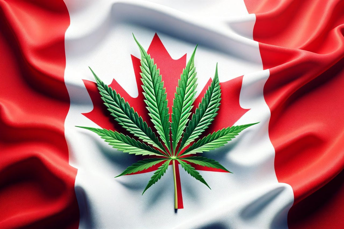 Cannabisblatt vor der kanadischen Flagge