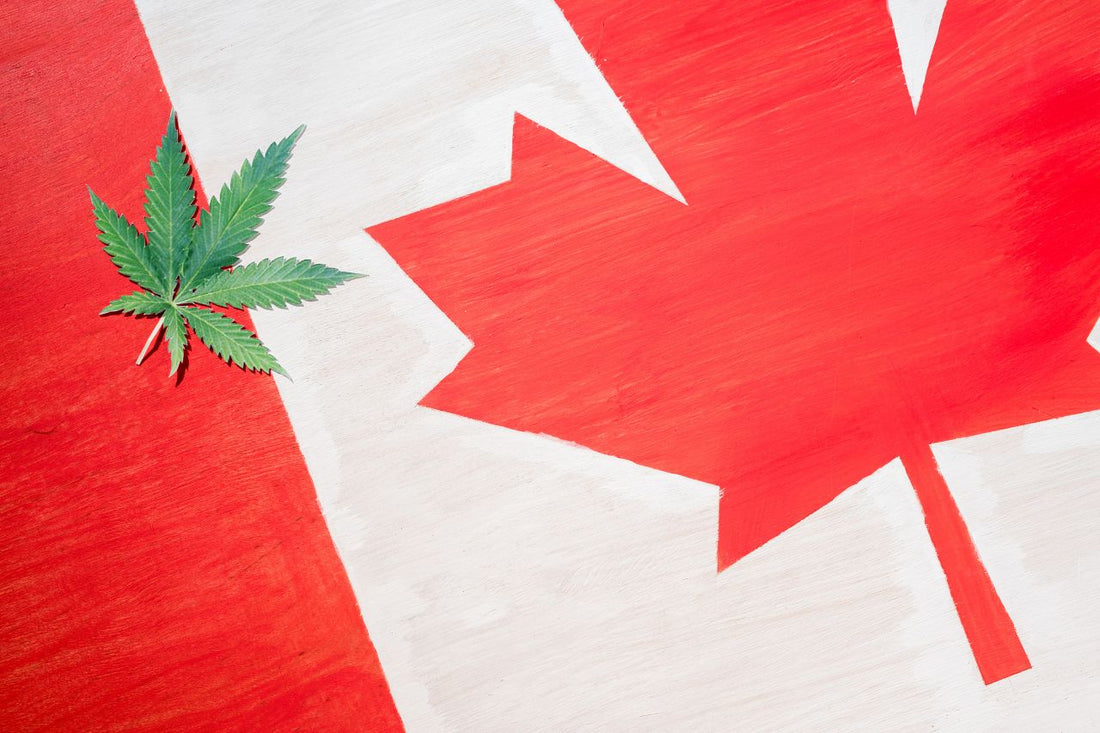 Modernisierte Cannabis-Politik in Kanada