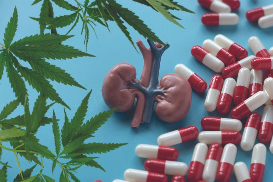 Cannabis, Niere, Verschreibungspflichtige Medikamente
