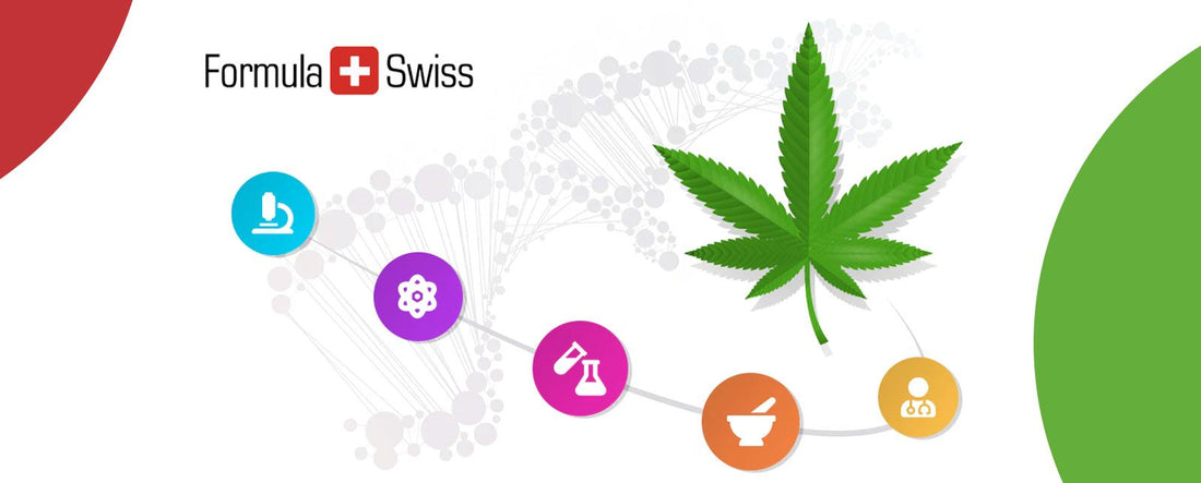 Pressemitteilung: Niederländische Forscher arbeiten mit Schweizer Cannabis-Firma zusammen, um sichere und natürliche Alternativen zur Lösung von Schlafproblemen zu erforschen