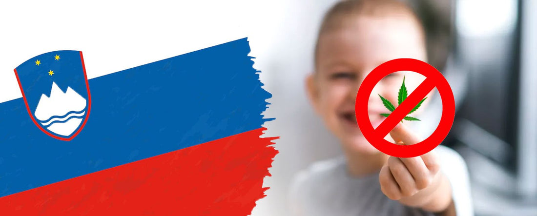 Slowenien verbietet CBD, nachdem lokale Produzenten Kinder vergiftet haben