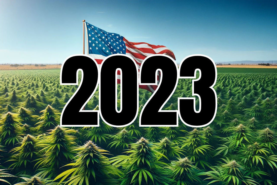 Amerikansk flag i en cannabismark