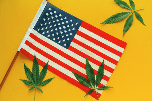 U.S.A. Flagge mit drei Cannabisblättern
