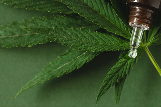 Vorschriften für medizinisches Cannabis in Neuseeland
